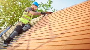 Best Roof Moss and Algae Removal  in Grass Valley, CA
