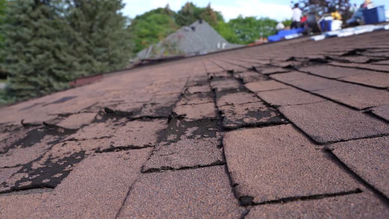 Best Green or Eco-Friendly Roofing Solutions  in Grass Valley, CA